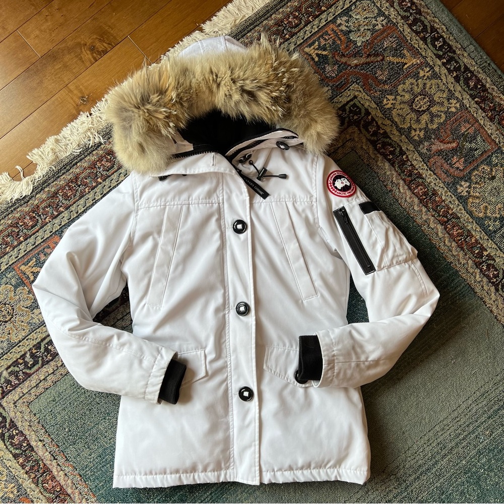 White Canada goose montebello